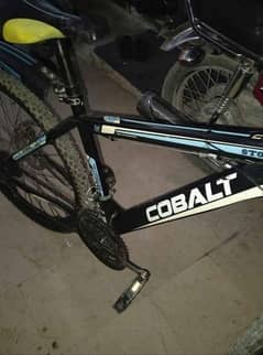 cobalt cycle