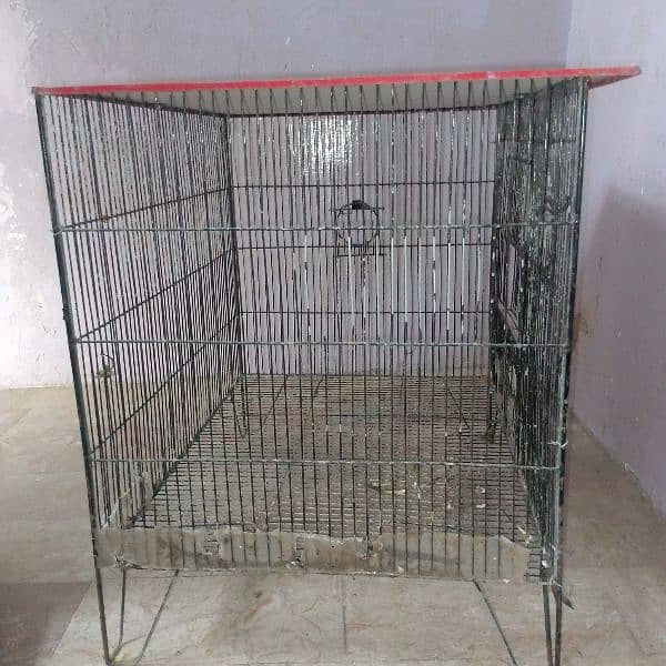 birds cage 1