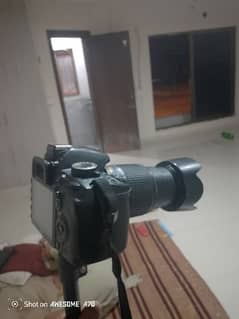 Nikon camera best condition