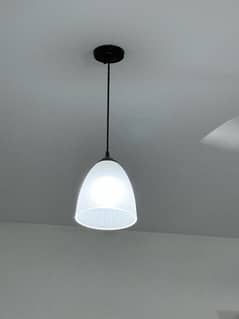 Ceiling Hanging Lights Pair 2