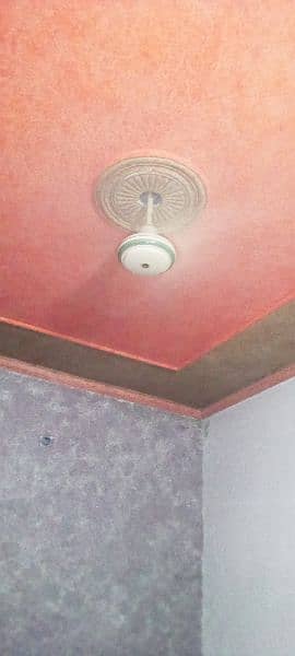 ceiling fan 2