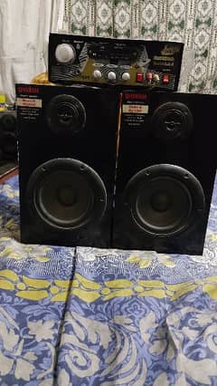 Dual 6" buffer speaker with bluethooth amp