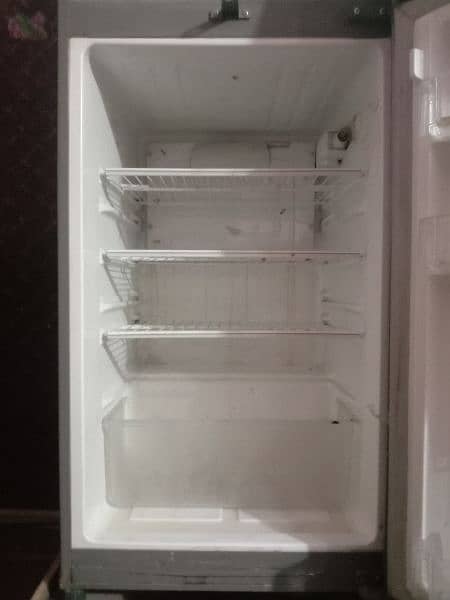 PEL fridge 2