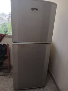 haier refrigerator