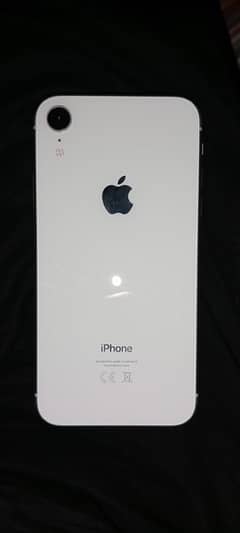 IPhone xr brand new LLC model condition 10 by 10 pta approved  all ok