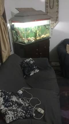 Complete Fish Aquarium with fish