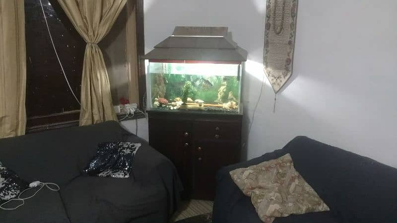 Complete Fish Aquarium with fish 1
