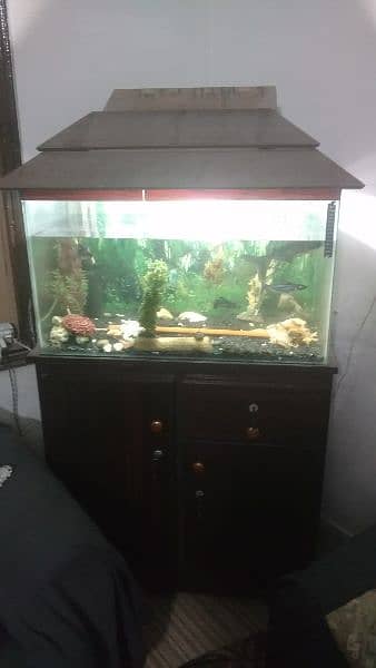 Complete Fish Aquarium with fish 2