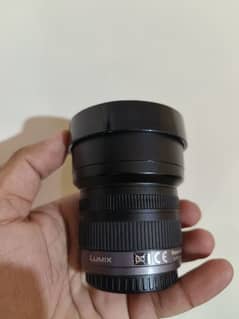 Panasonic Lumix G Vario 7-14mm f/4