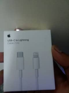 usb c to lightning cable (Orignal Apple) 0