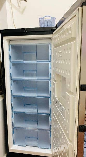 vertical Freezer 5