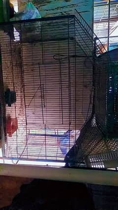 parrot cage fore sale