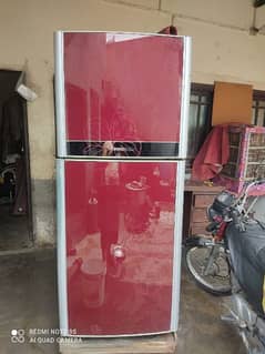 Orient Glass Door fridge  Big size A one condition for  sell
