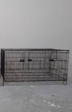 Bird's cage's available for sale