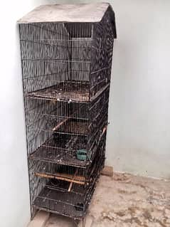 Birds Cage 5 Portions