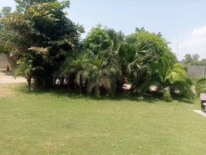 8 kanal farm house available for in badian road 9