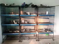 Cages For sale 0