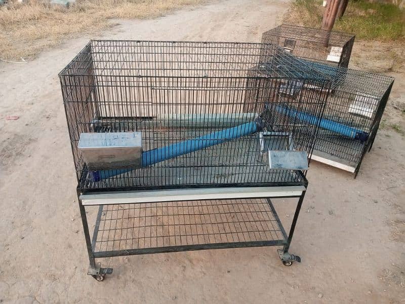 Cages For sale 3