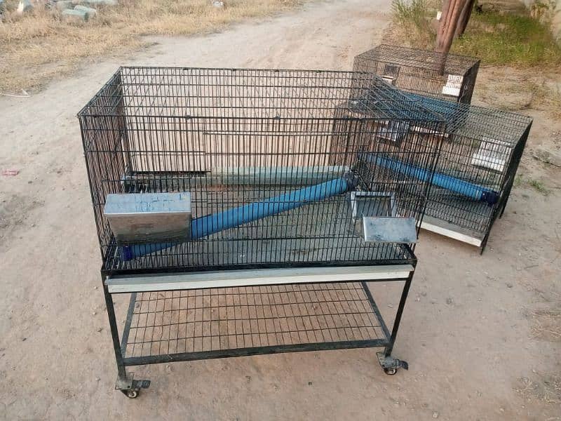 Cages For sale 9