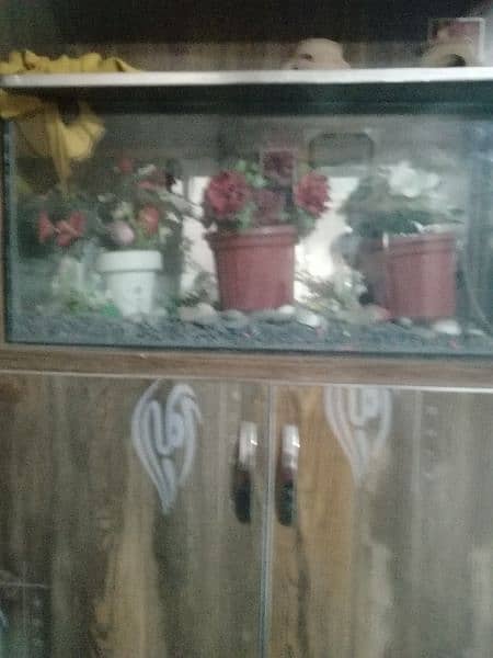 dinning table and aquarium for sale 4