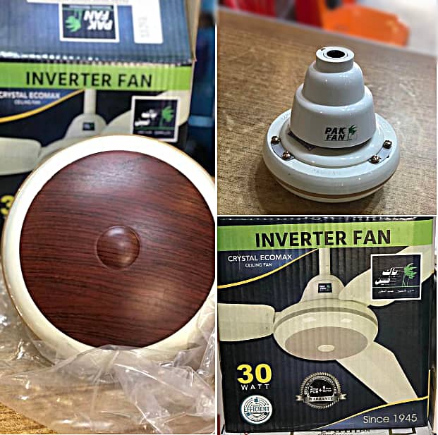 PAK FAN ( 30-Watt Inverter ) 0