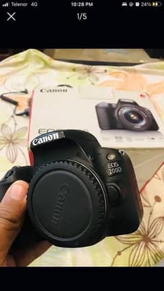 Canon 200D with 50mm stm 18-135mm 18-55 75-300mm