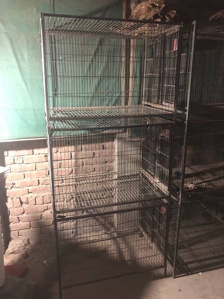 cages for sale 6