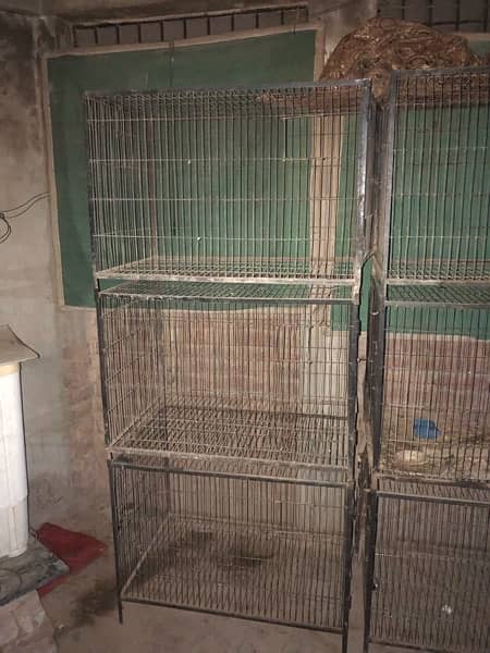 cages for sale 7
