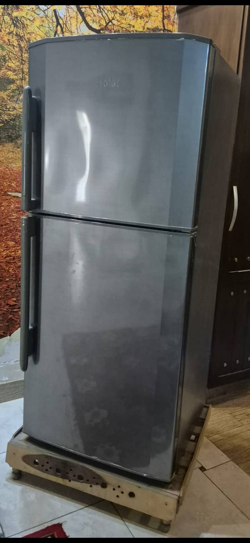 Haier Refrigerator with Stabiliser 6
