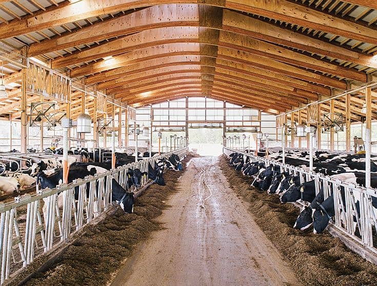 Dairy Farm Sheds warehouse sheds 0