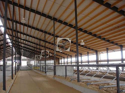 Dairy Farm Sheds warehouse sheds 2