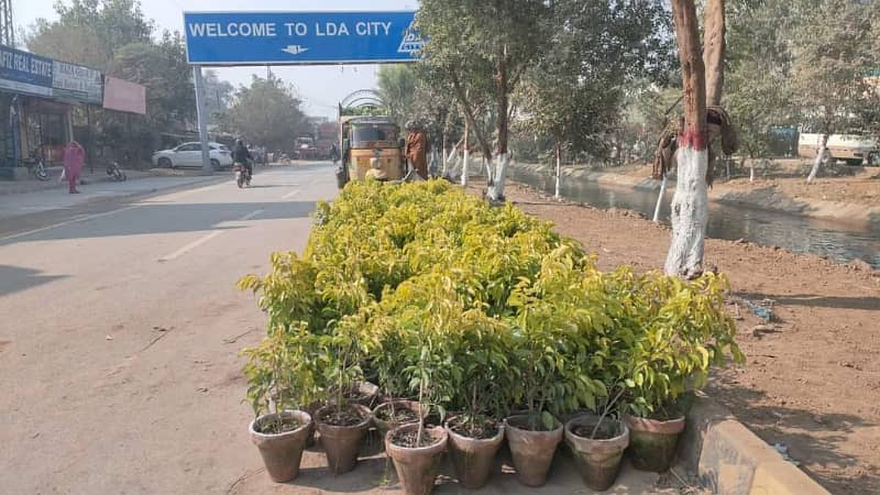 5 Marla Investment Purpose Ideal Location Plot For Sale In C Block LDA City Lahore 4