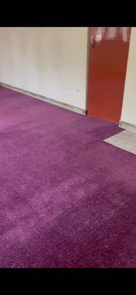 Minimum used carpet for sale 2