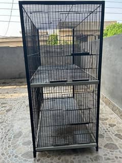 double cage for lovebirds or java