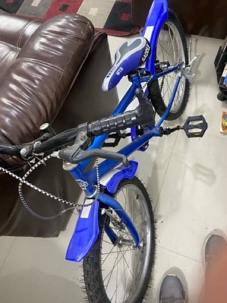 Kids blue bicycle for 10 years old 15