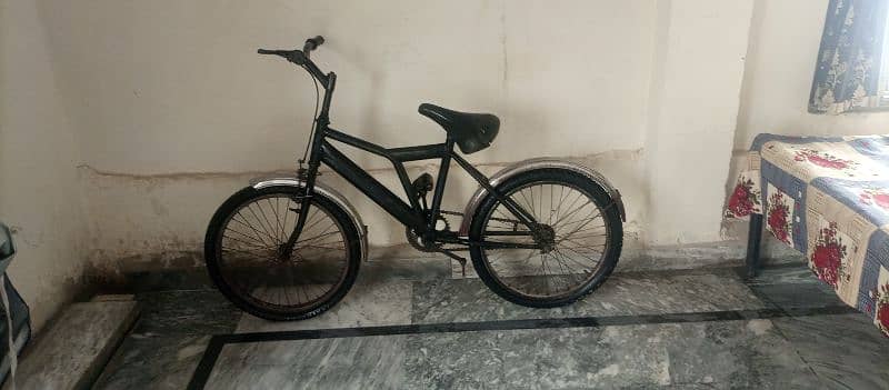 Sony Bicycle 2