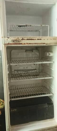 Fridge (medium) 0