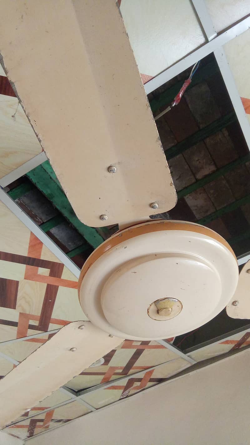 Celling fans 2 adad for sell 2
