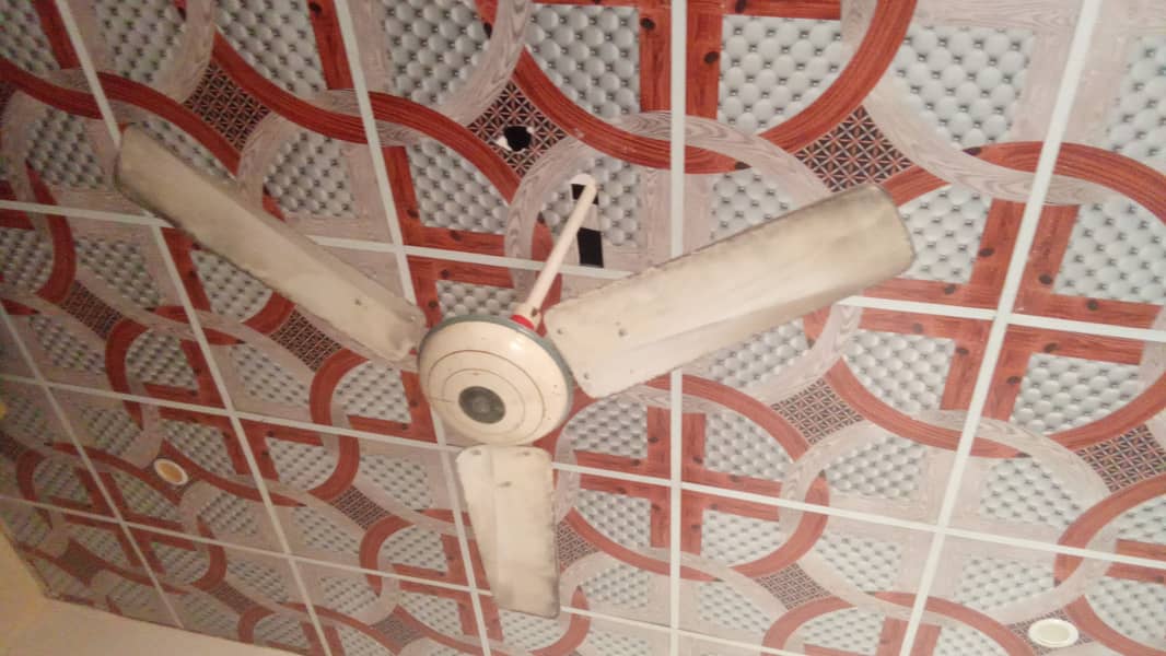 Celling fans 2 adad for sell 4