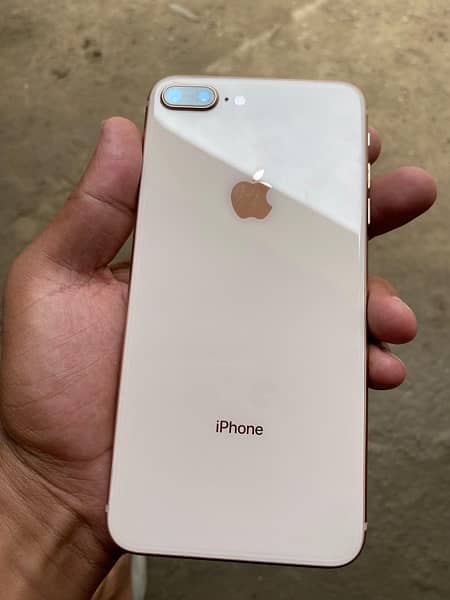 iphone 8 plus approved 3