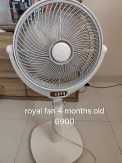 royal fan in white colour