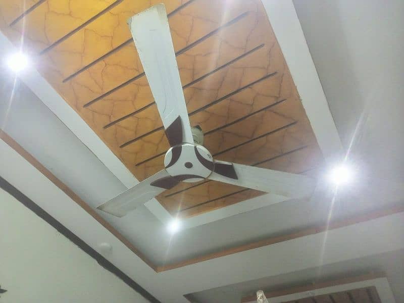 ceiling Fan for Sale good condition  1 year used 8