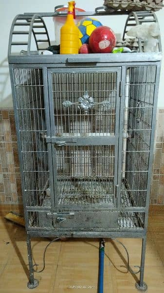 fancy cage parrot 0