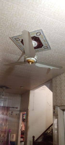pure cooper winding ceiling fan 3