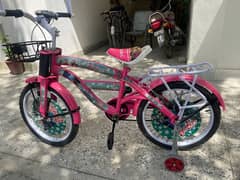 Girls Bicycle 0