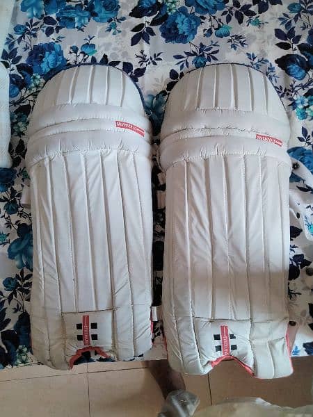 cricket pads for begnier 0