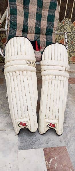 Cricket Pads gloves 0