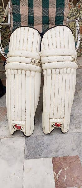 Cricket Pads gloves 3