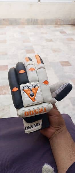 Cricket Pads gloves 13