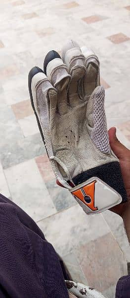 Cricket Pads gloves 14